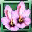 Bundle of Fair Saffron icon